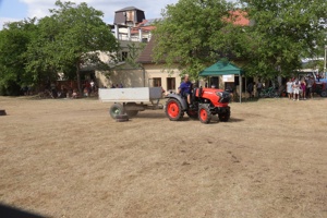 274IMG_9077