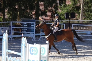 IMG_0682