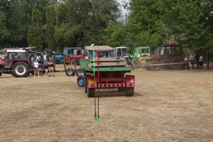 082IMG_8973