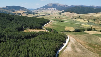 dji_fly_20250624_152550_356_1750771623379_photo_optimized