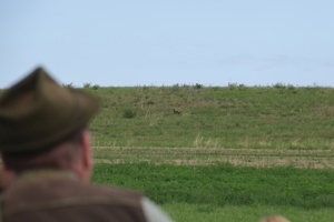 IMG_1098