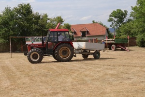 230IMG_9046