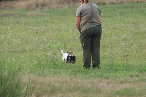 IMG_8269