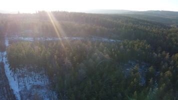 DJI_0443