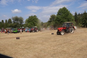 250IMG_9061