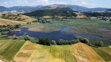 dji_fly_20250624_152504_349_1750771613040_photo_optimized