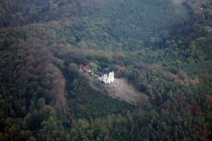 IMG_8981