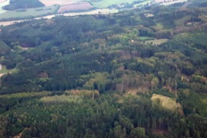 IMG_9048