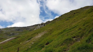 20180807_113448