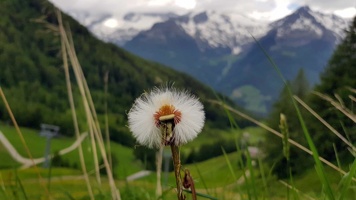 20180606_133400