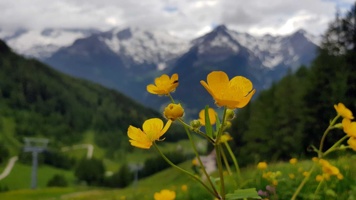20180606_133514