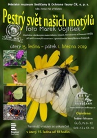 1Motýli-2019-plakát