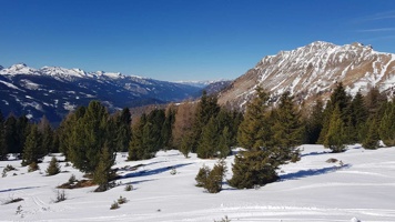 20190322_094603