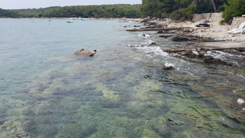 20190709_135455