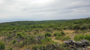 20190709_164344