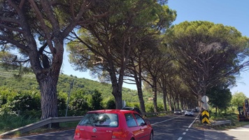 20190710_115206