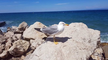 20190710_135654