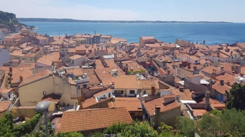 20190710_140434