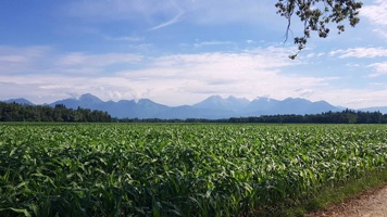 20190711_095650