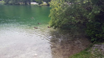 20190711_112126