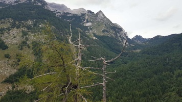 20190711_122140