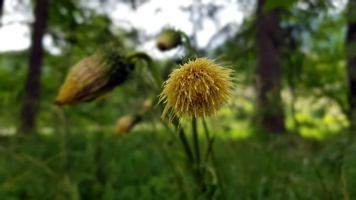 20190712_112520