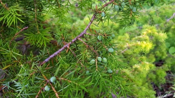20190713_145952