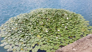 20190713_120630