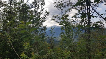 20190713_164639