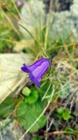 20190828_122401