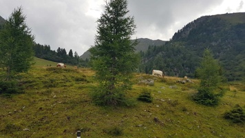 20190829_154033