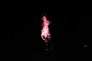 IMG_3310