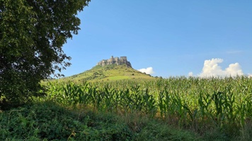 20200824_111718