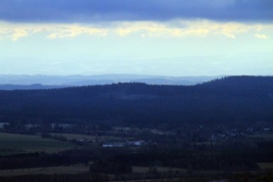 IMG_7561