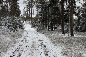 IMG_7566