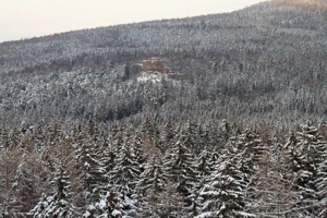 IMG_7668