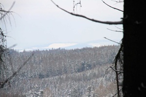IMG_7687