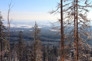 IMG_7757