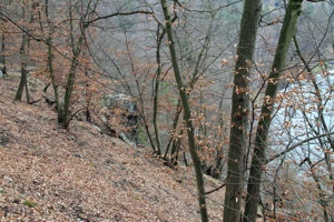 IMG_7954