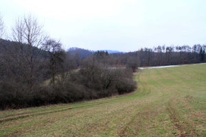 IMG_8003