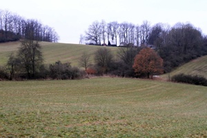 IMG_8017
