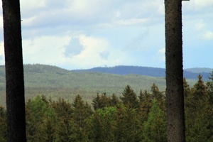 IMG_8587