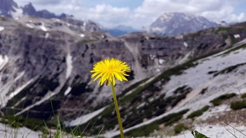 20180609_114420