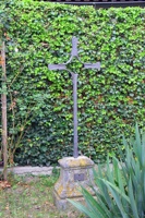 IMG_1575