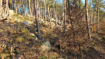 20211106_153335