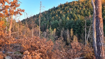 20211106_160659