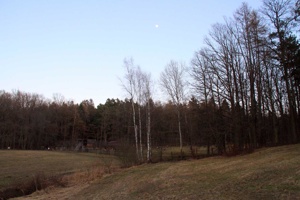 IMG_8179