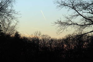 IMG_8188