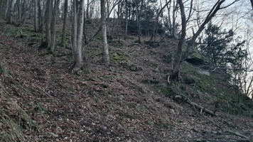 20220219_174047