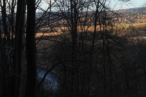 IMG_8515